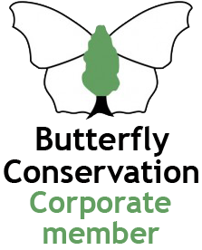 GD Charities B.Fly Logo