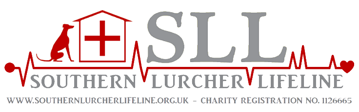SLL Logo2